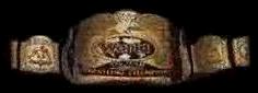 WWF Tag Team Championship